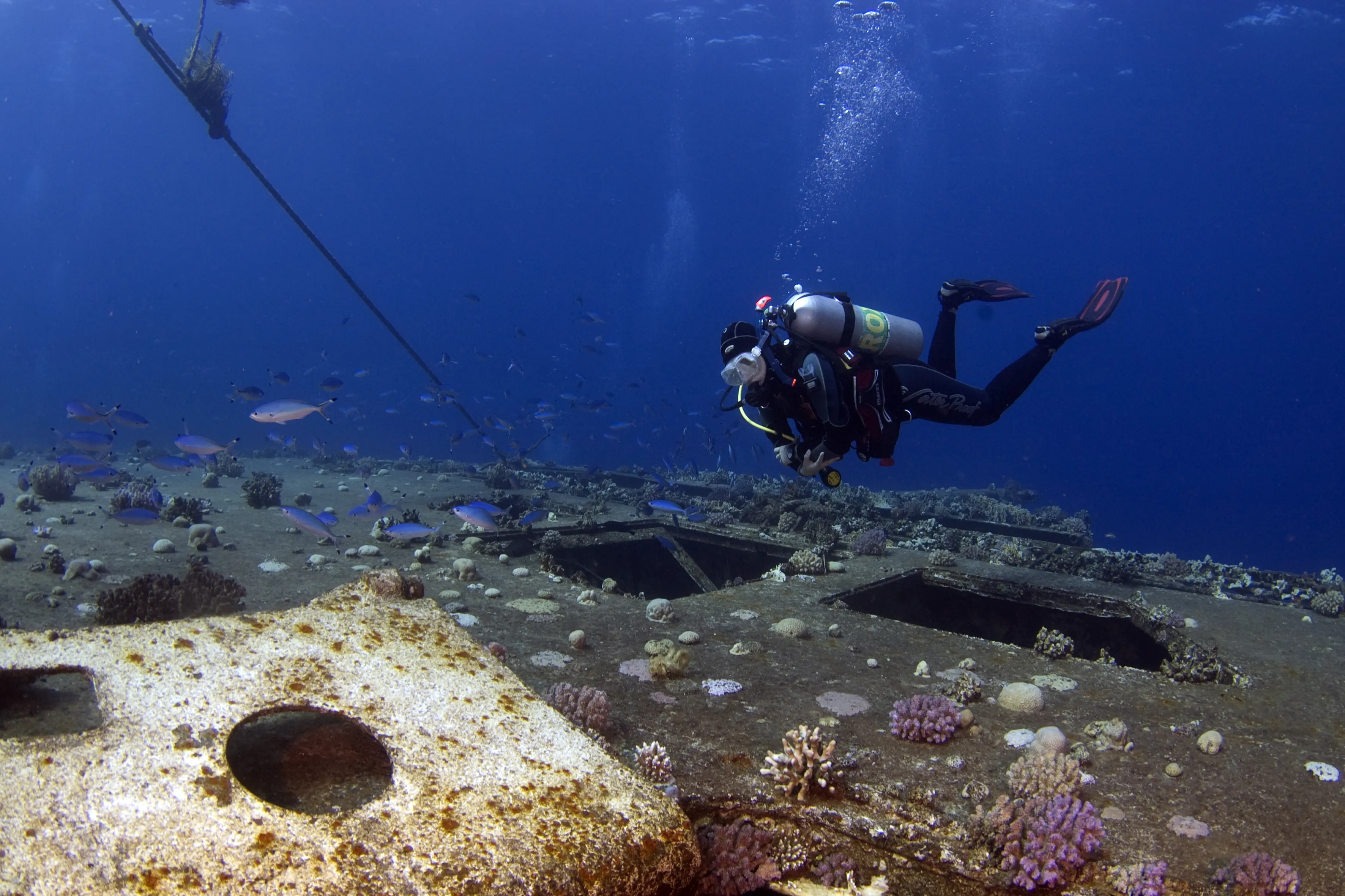 Wreck Diver