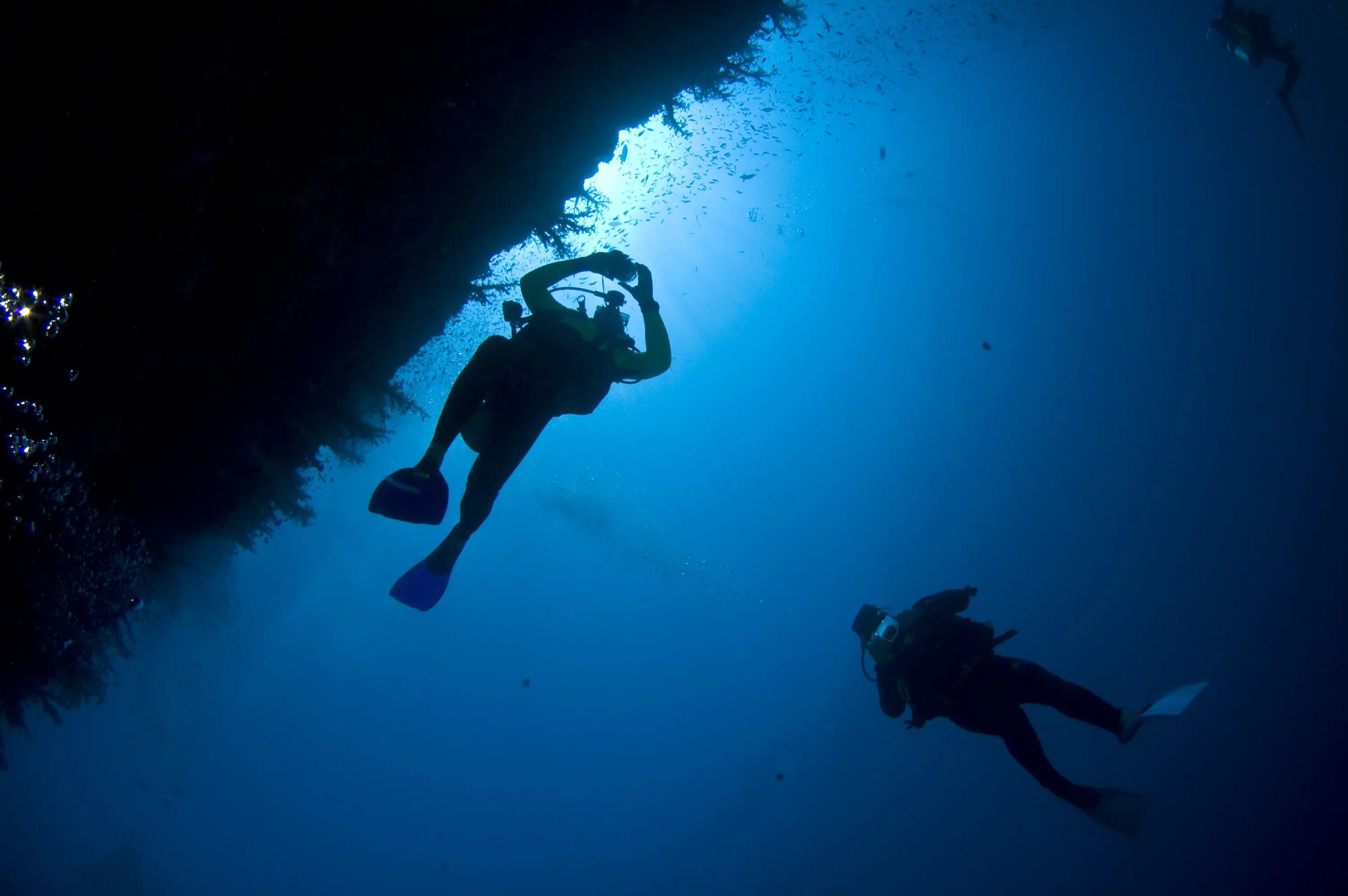 Early Morning & Sunset Dive