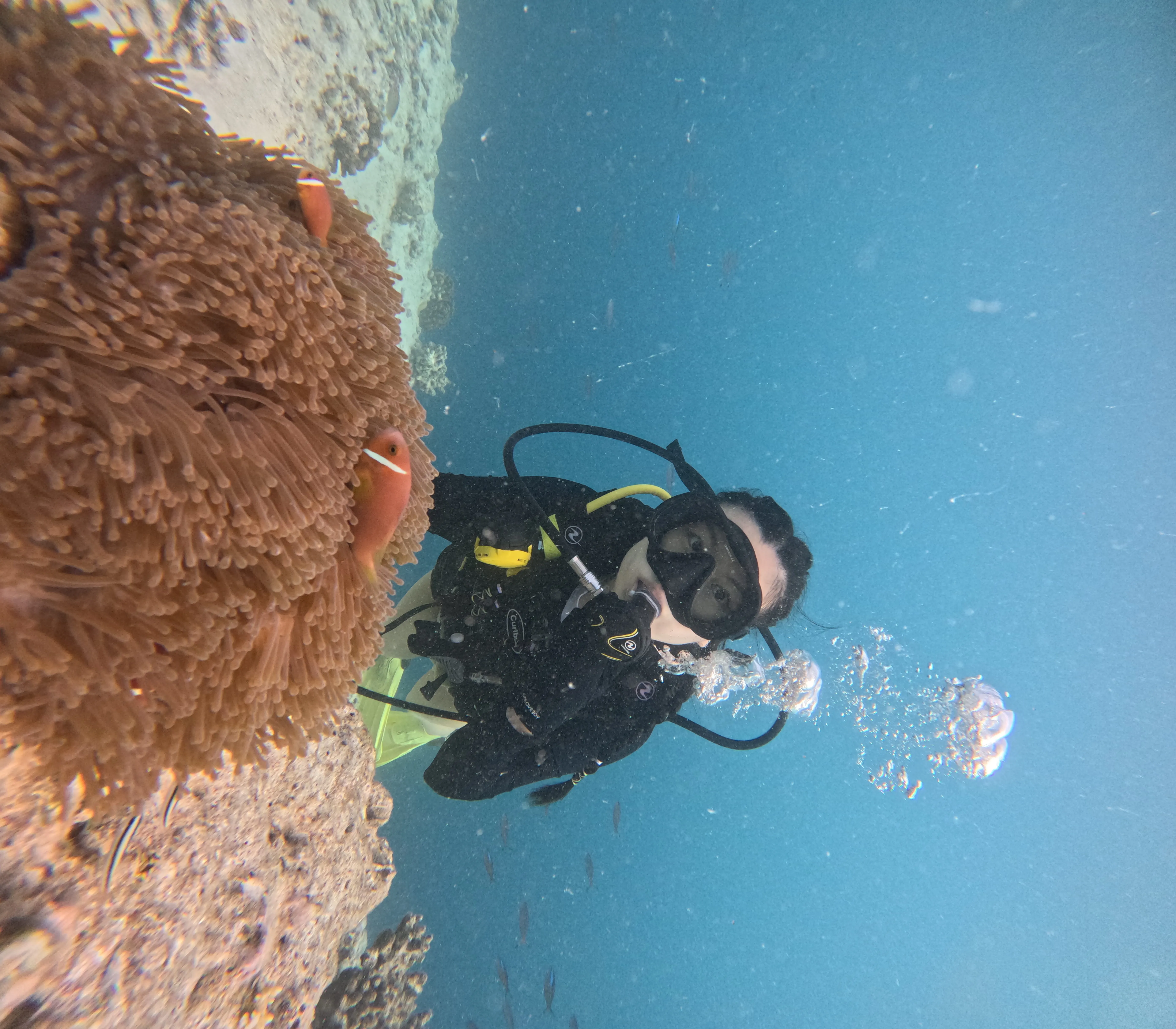 Discover Scuba Diving Full Day